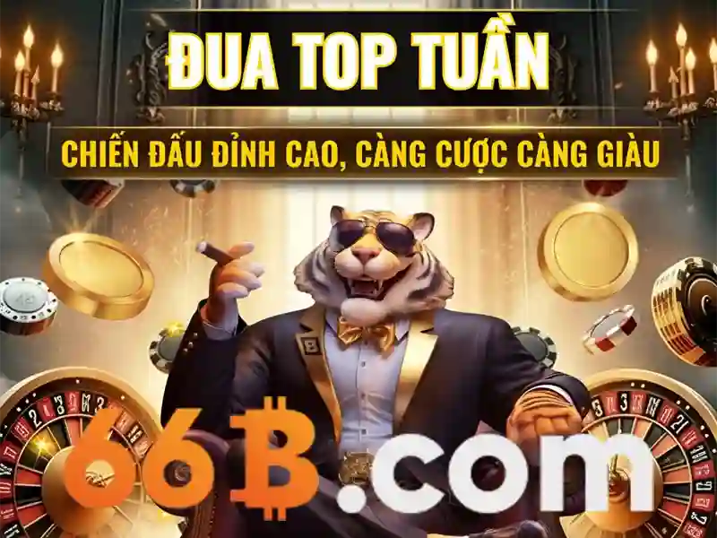 Đặc điểm kỹ thuật