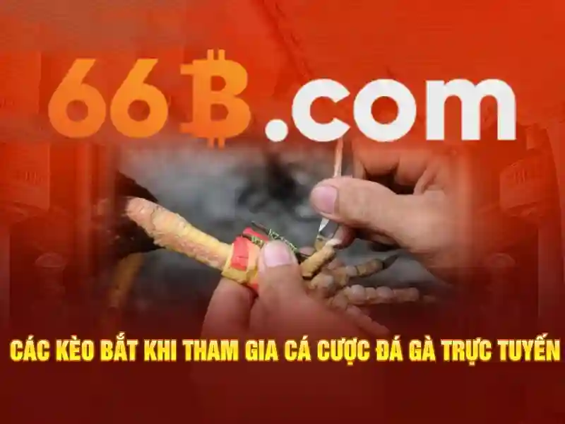 66b nguyễn sỹ sách p15 q tân bình – Giải pháp và thương hiệu