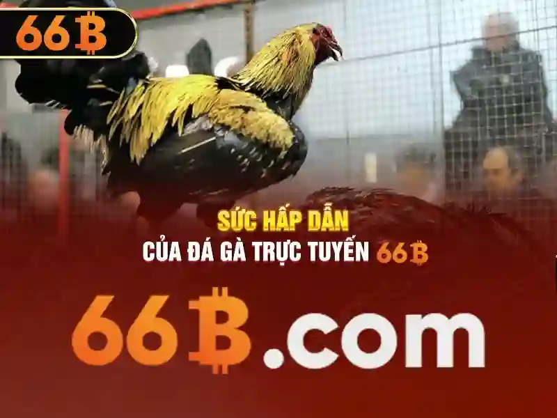 64b/66b encoding: Công nghệ và ứng dụng 66b web