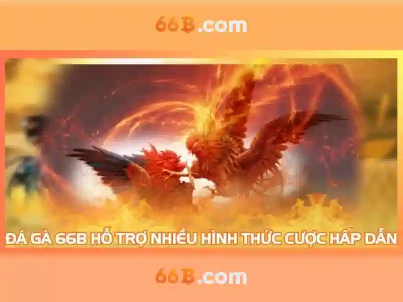 66b nhà cái – Trải nghiệm đẳng cấp và đổi mới công nghệ Giao diện nhà cái hoàn hảo