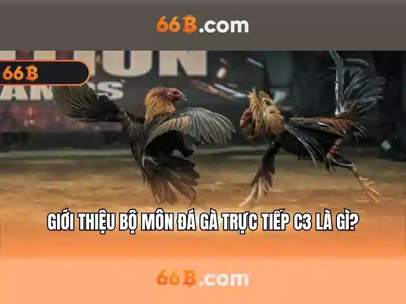 66b chính thức – Chủ đề tổng quan và giá trị cốt lõi