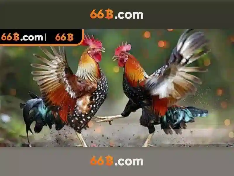 Cách hoạt động của 66B