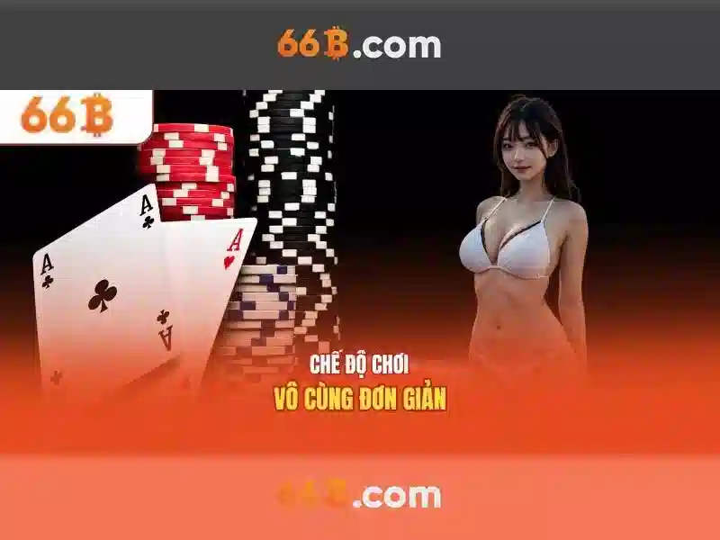 Khái niệm cơ bản về 66B