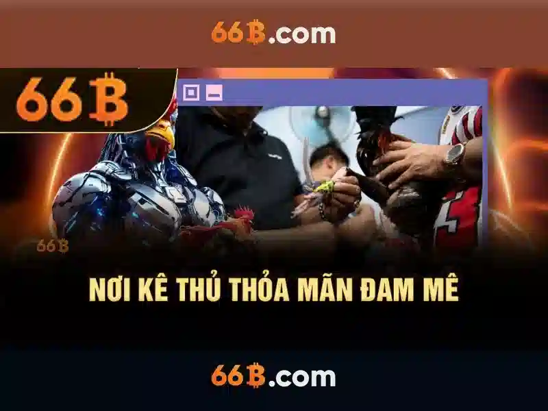 Giao diện nhà cái hoàn hảo