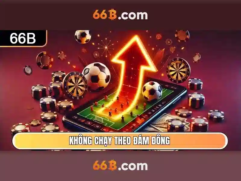 art 66b – Trải nghiệm người dùng và phản hồi từ cộng đồng