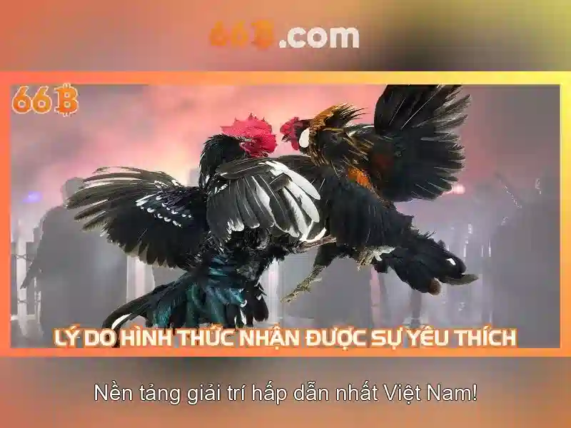 https://myimage.id/images/text/66b/66b-text260330165.webp Kiến trúc và tham số