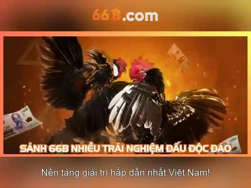 Mô hình 66B: Khai phá sức mạnh của 66 tỷ tham số