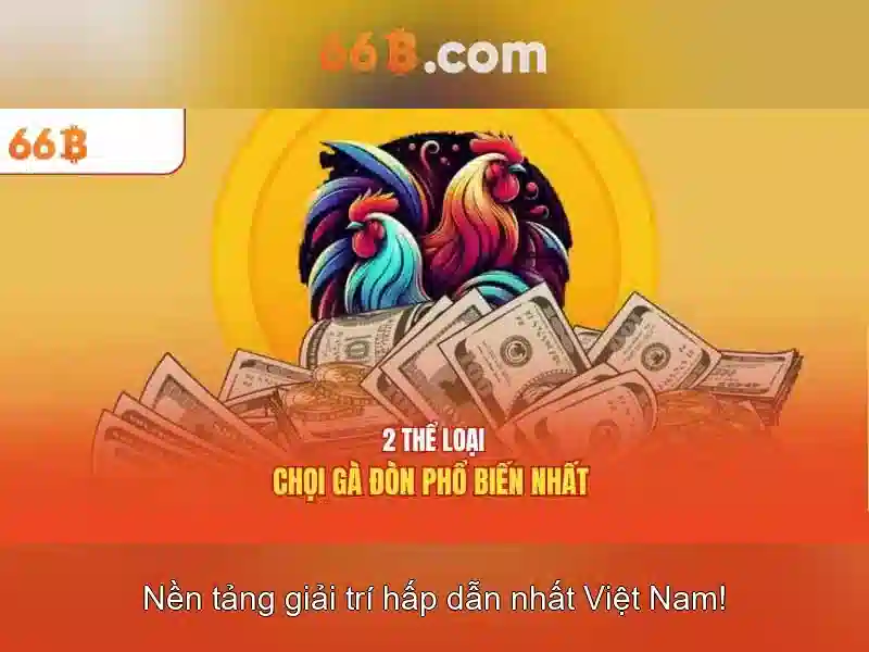66b là gì và tại sao nó quan trọng