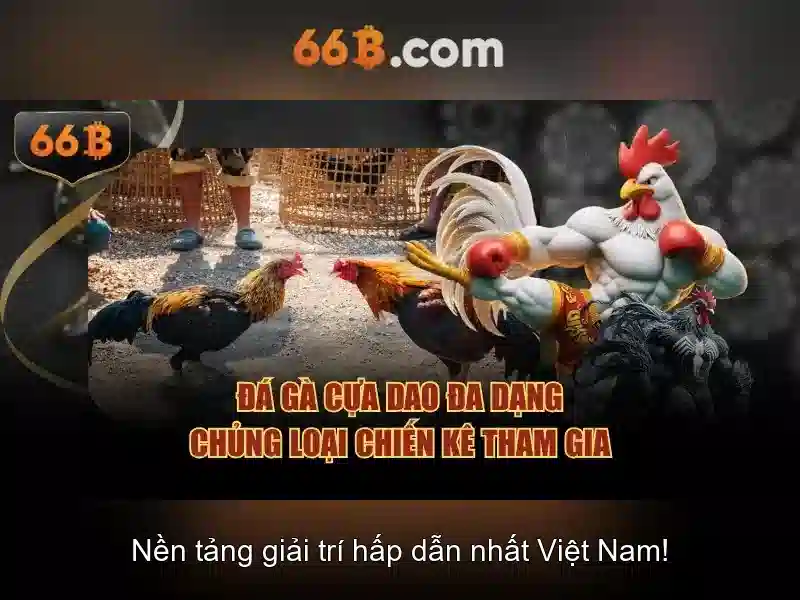 Ưu thế và sức cạnh tranh của 66b vip