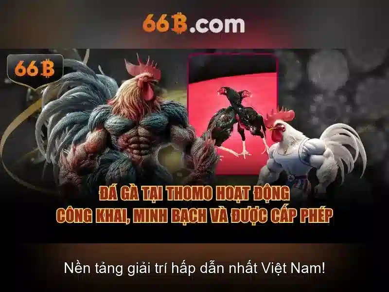 66b nguyễn sỹ sách phường 15 tân bình – tổng quan và giá trị cốt lõi