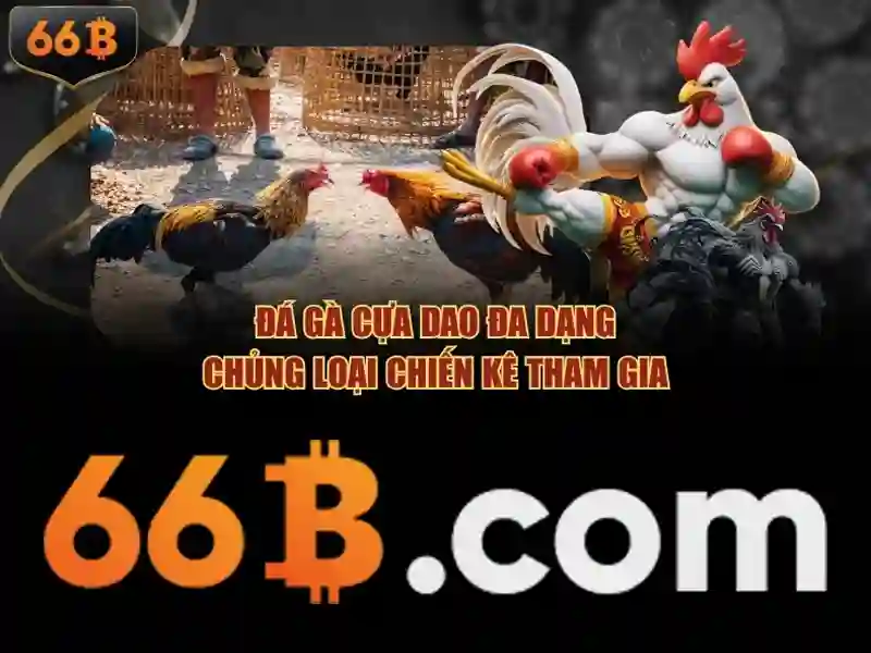 66B là gì?