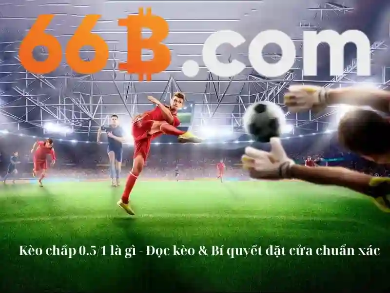 Ứng dụng của 66B trong thực tế